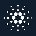 cardano feed